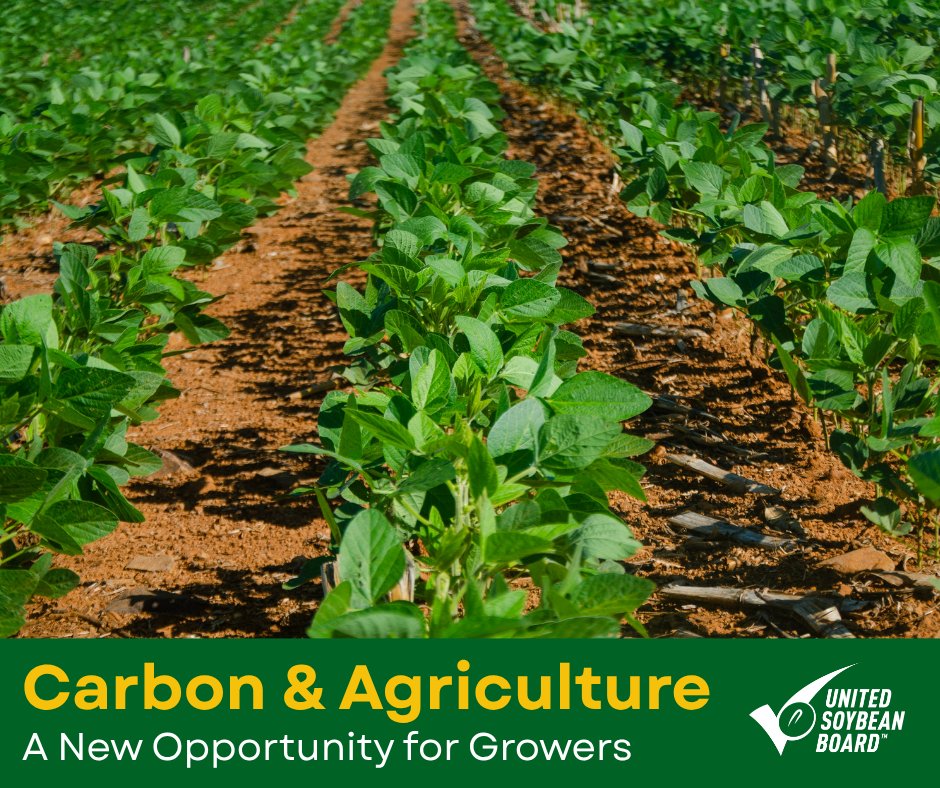 arkansassoybean's tweet image. Discover how soybean farmers across the U.S. can benefit from carbon programs to improve soil health and boost farm sustainability.
Find out what these programs offer, why they matter and how to get started: monkeylink.co/bf8889
#ArkansasSoybeans #SoybeanProducers