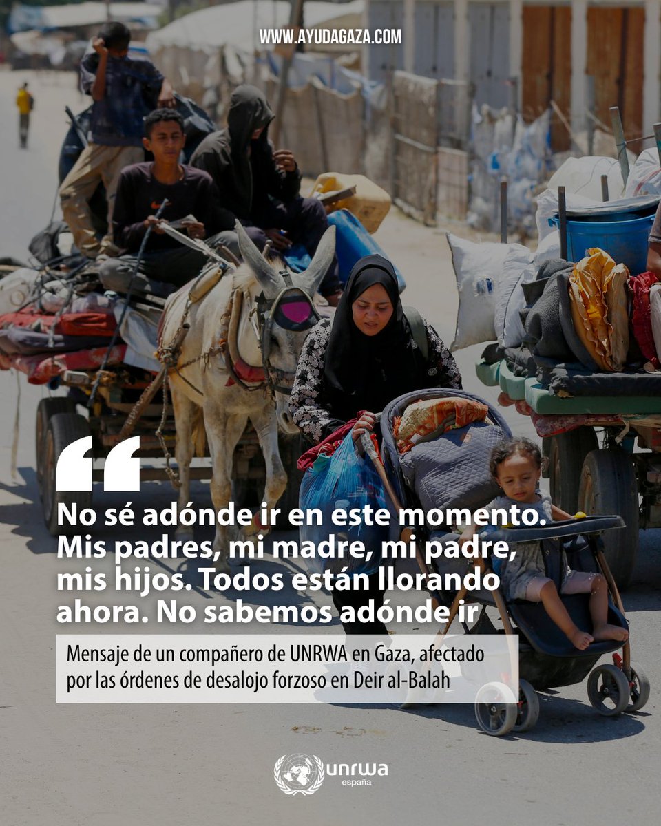 UNRWAes's tweet image. "No sabemos adónde ir".
Es el mensaje que nos ha llegado de un compañero de UNRWA, afectado por las nuevas órdenes de desalojo forzoso en Deir al-Balah, en Gaza.
¿Dónde ir cuando ningún lugar es seguro? ¿Dónde poner a tu familia a salvo cuando no quedan sitios a los que ir?