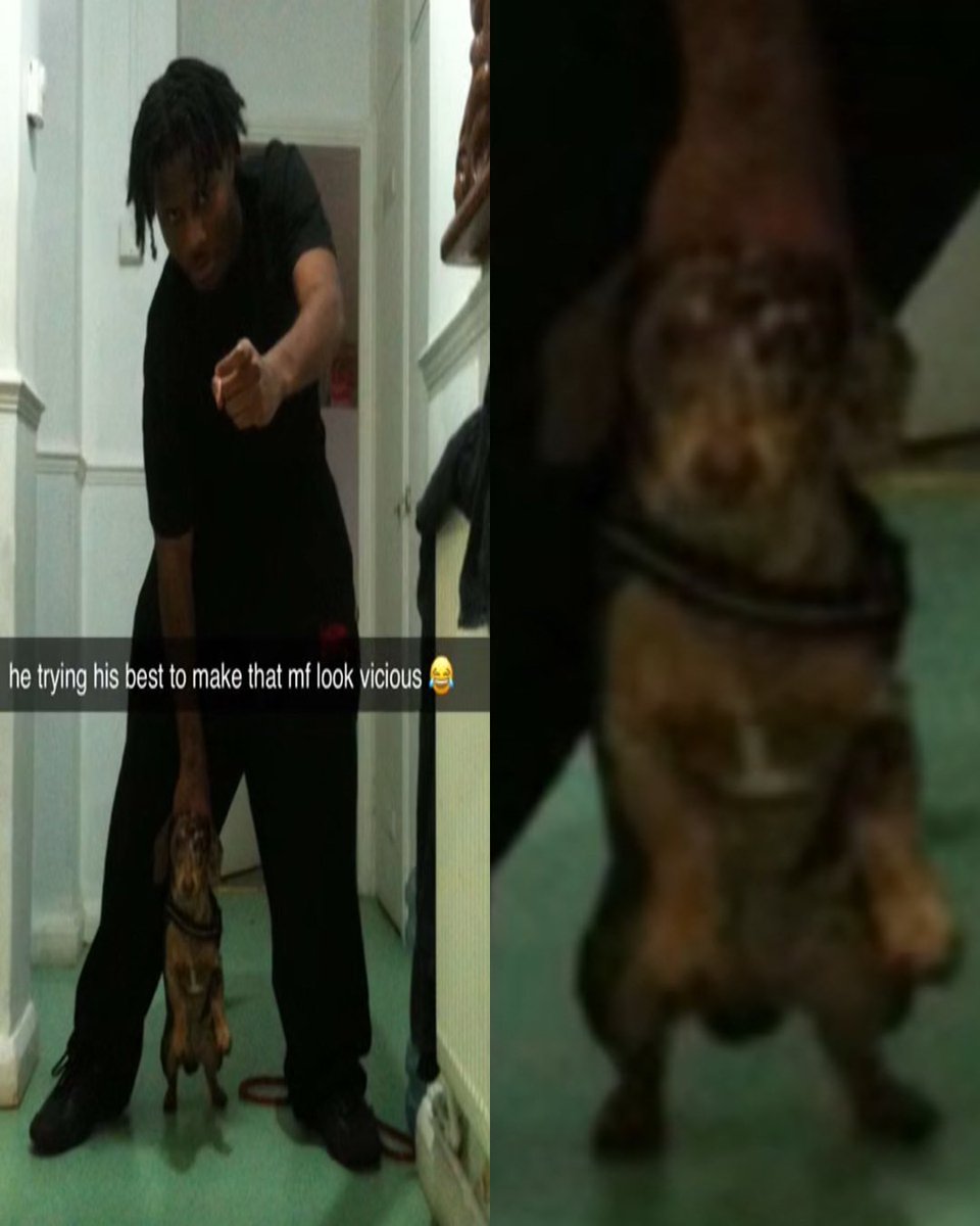 STORE OPEN. 

THE #BLACKBRITISHMUSIC2025 TRUCKER 🇬🇧

our national pride and joy <a href="/jim_legxacy/">(!)</a> 

peaktele.vision 
peaktele.vision 
peaktele.vision