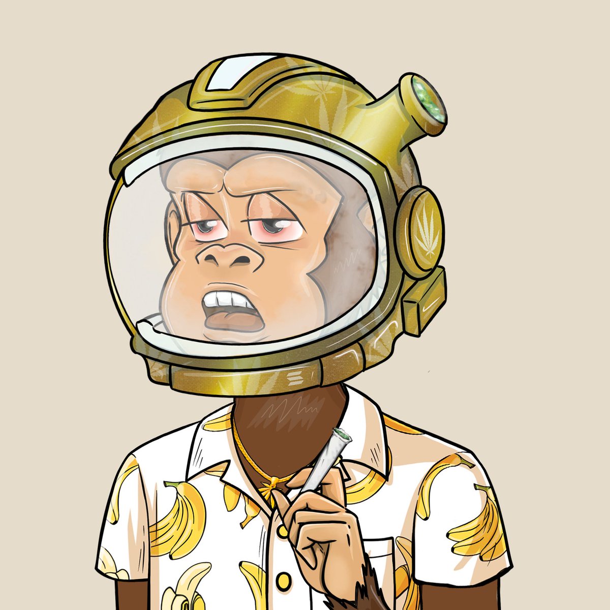 Even when no one cares about NFT's I'm always here. 💨💨Never selling.💨💨 <a href="/StonedApeCrew/">Stoned Ape Crew</a>