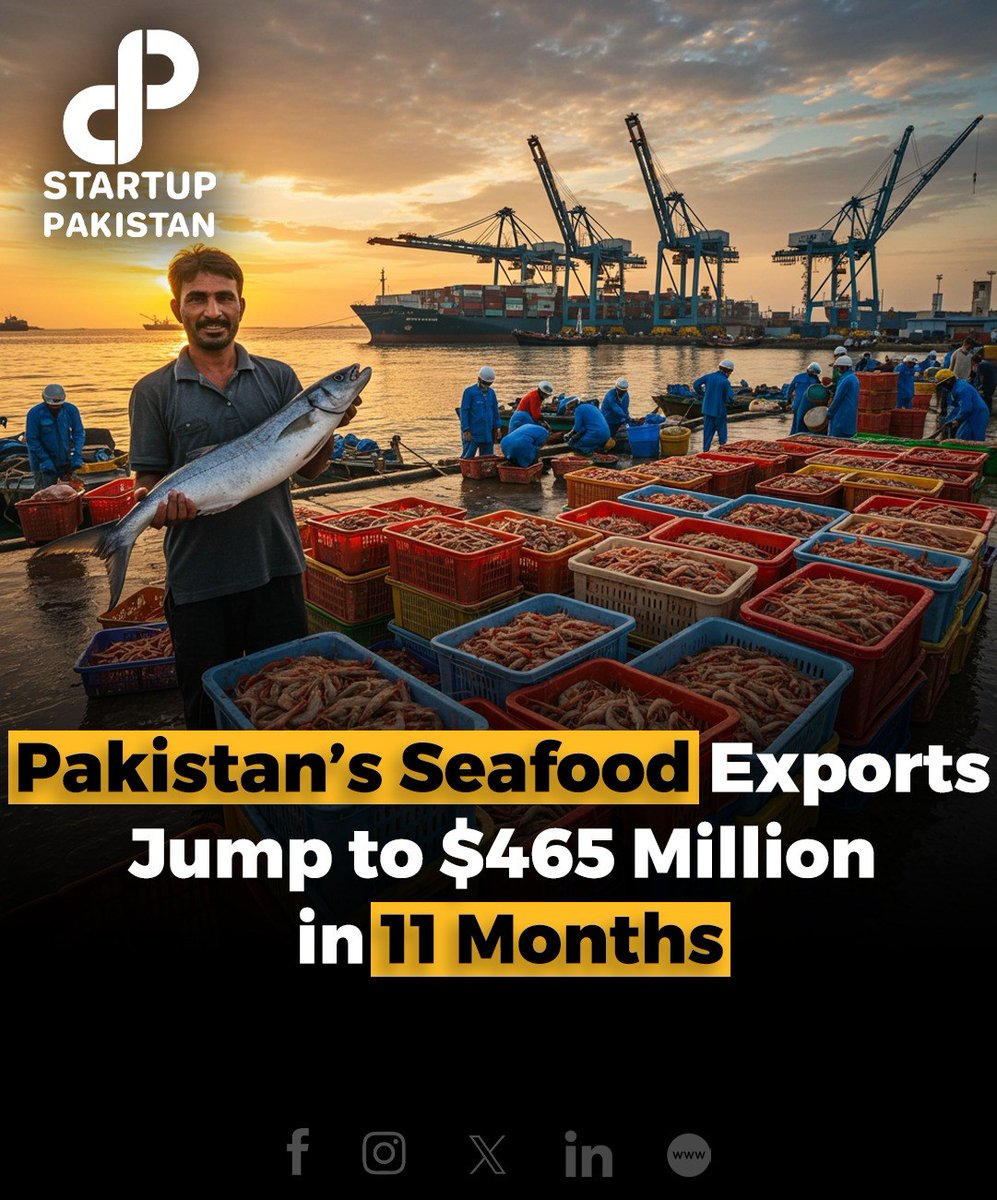 PakStartup's tweet image. Pakistan’s seafood exports surged by 13.4% to reach $465 million in FY25, with export volume rising to 216,350 tonnes, according to the Pakistan Bureau of Statistics (PBS). 

#SeafoodExports #PakistanFisheries #PFEA #MarineEconomy #ExportGrowth #FishermenEfforts