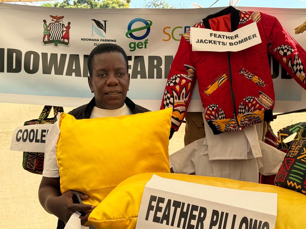 UNDPZambia's tweet image. 🌟 Ndowana Farming Club stole the spotlight at International Cooperative Day 2025 in Lusaka!
Invited by the Ministry of Small & Medium Enterprises Development, they wowed crowds with duvets, pillows & clothes made from recycled chicken feathers 🪶🛏️👕.