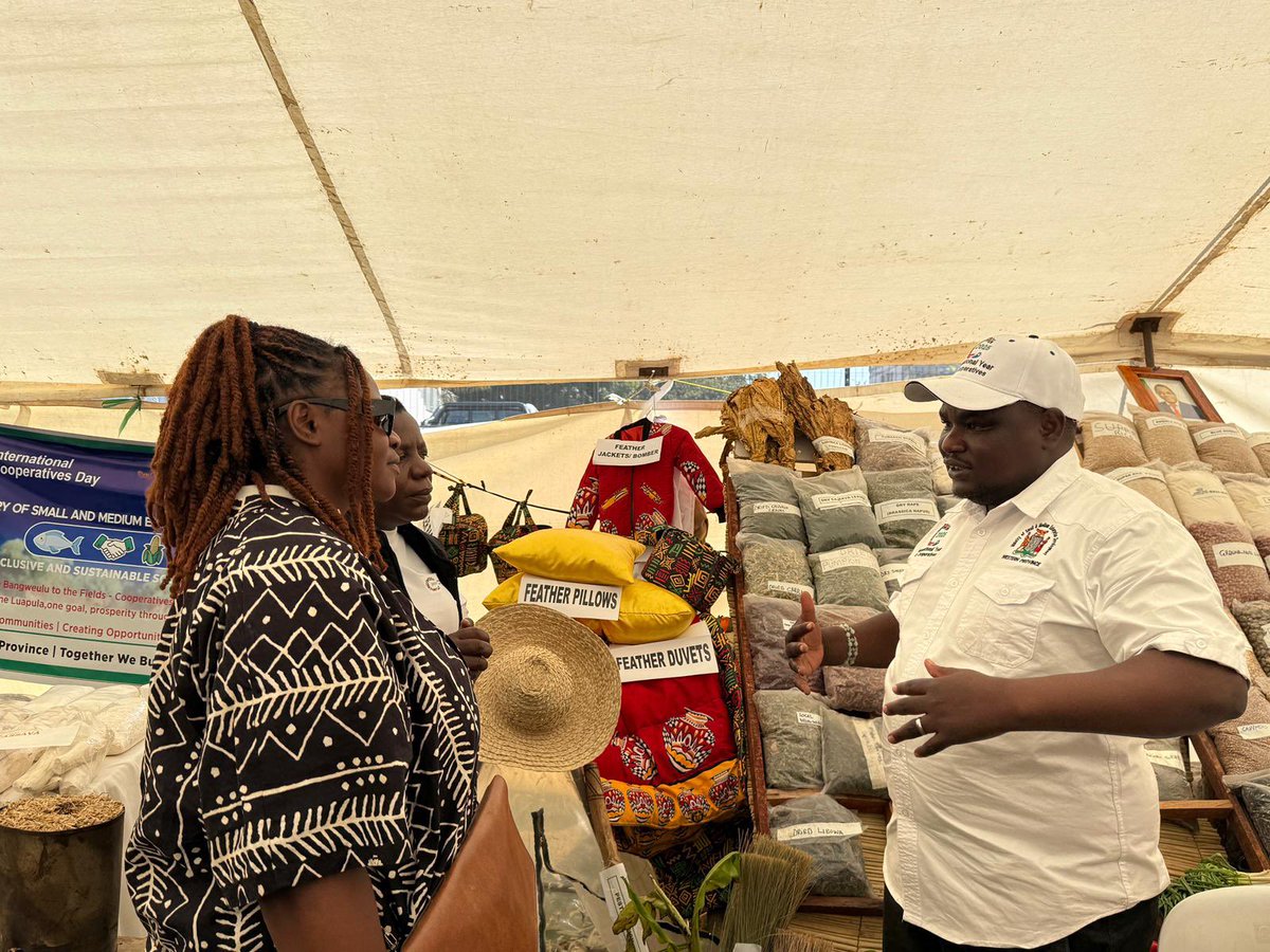 UNDPZambia's tweet image. 🌟 Ndowana Farming Club stole the spotlight at International Cooperative Day 2025 in Lusaka!
Invited by the Ministry of Small & Medium Enterprises Development, they wowed crowds with duvets, pillows & clothes made from recycled chicken feathers 🪶🛏️👕.
