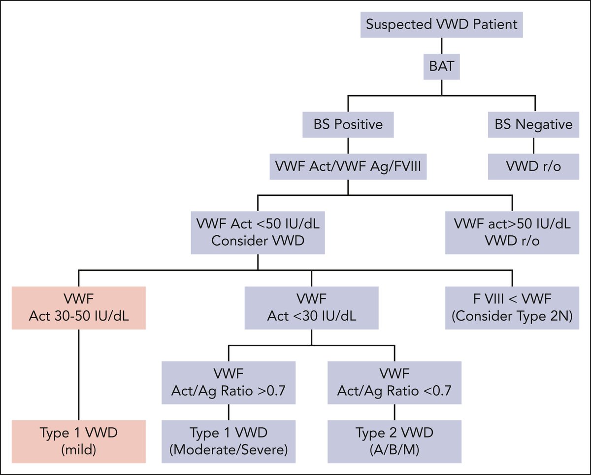 Type 1 von Willebrand disease: does it need a sibling? ow.ly/YutE50WrZtu #thrombosisandhemostasis