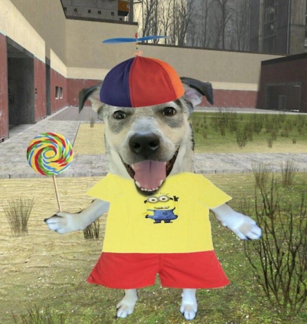 unclefemme's tweet image. how i feel when i go to the dentists and they give me a free toothbrush to take home