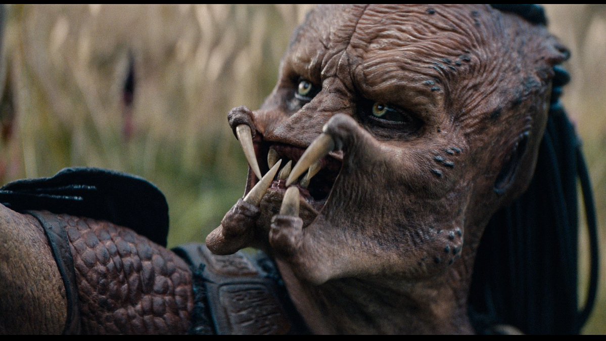 ChrisLikesDinos's tweet image. Some super HD ProRes screenshots from the #PredatorBadlands trailer.