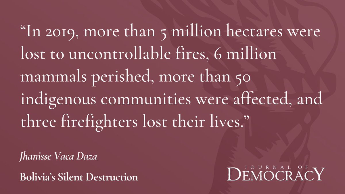 JoDemocracy's tweet image. "In 2019, more than 5 million hectares were lost to uncontrollable fires, 6 million mammals perished, more than 50 indigenous communities were affected, and three firefighters lost their lives."
muse.jhu.edu/pub/1/article/…