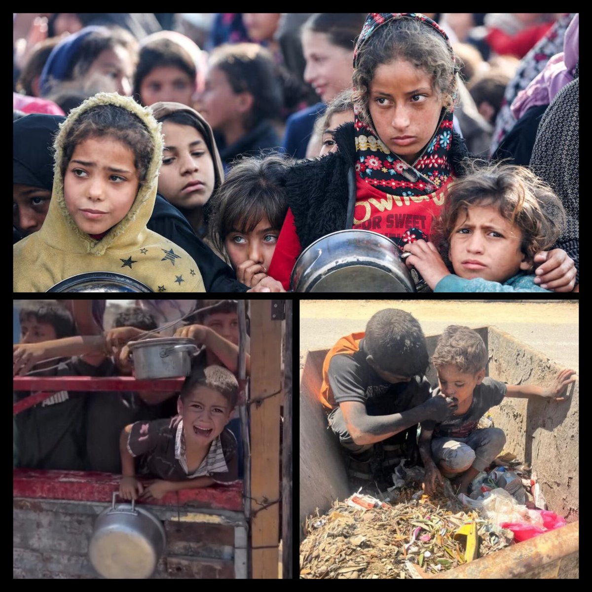 Yarane_rahbar's tweet image. به حرمت اشک مظلوم ،در سازمان جهانی فائو (FAO) را رو تخته کنید .
#غزه_تموت_جوعاً