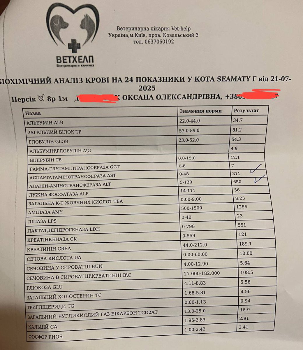 персик захворів :( 
не їсть 3 дні підряд, не ходить в туалет, не реагує ні на що. були у ветеринара, сказав, що проблема з печінкою. гепатит. і є можливість летального результату 💔

лікування виходить трохи дорогим, аналізи, крапельниця, новий корм…
мені дуже ніяково про це