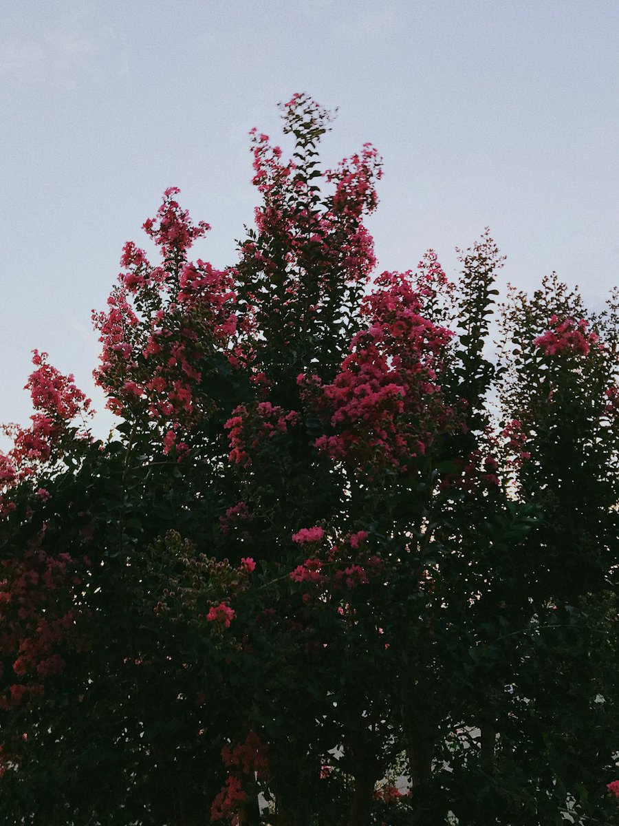 GrantStove33422's tweet image. FutureofLearning #TechnologyIndex