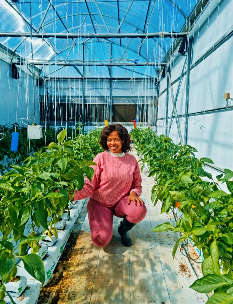 Thread on light and UV for greenhouses and #aquaponics in South Africa 🇿🇦