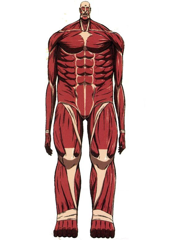 JosManosal26888's tweet image. could the invincibles defeat the colossal titan?