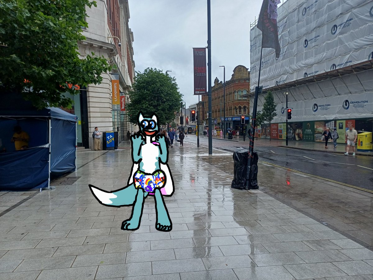 EFlametail's tweet photo. #pride #LeedsPride2025 #Leedspride 

Happy Pride for Yesterday https://t.co/O7GzgjwqMG