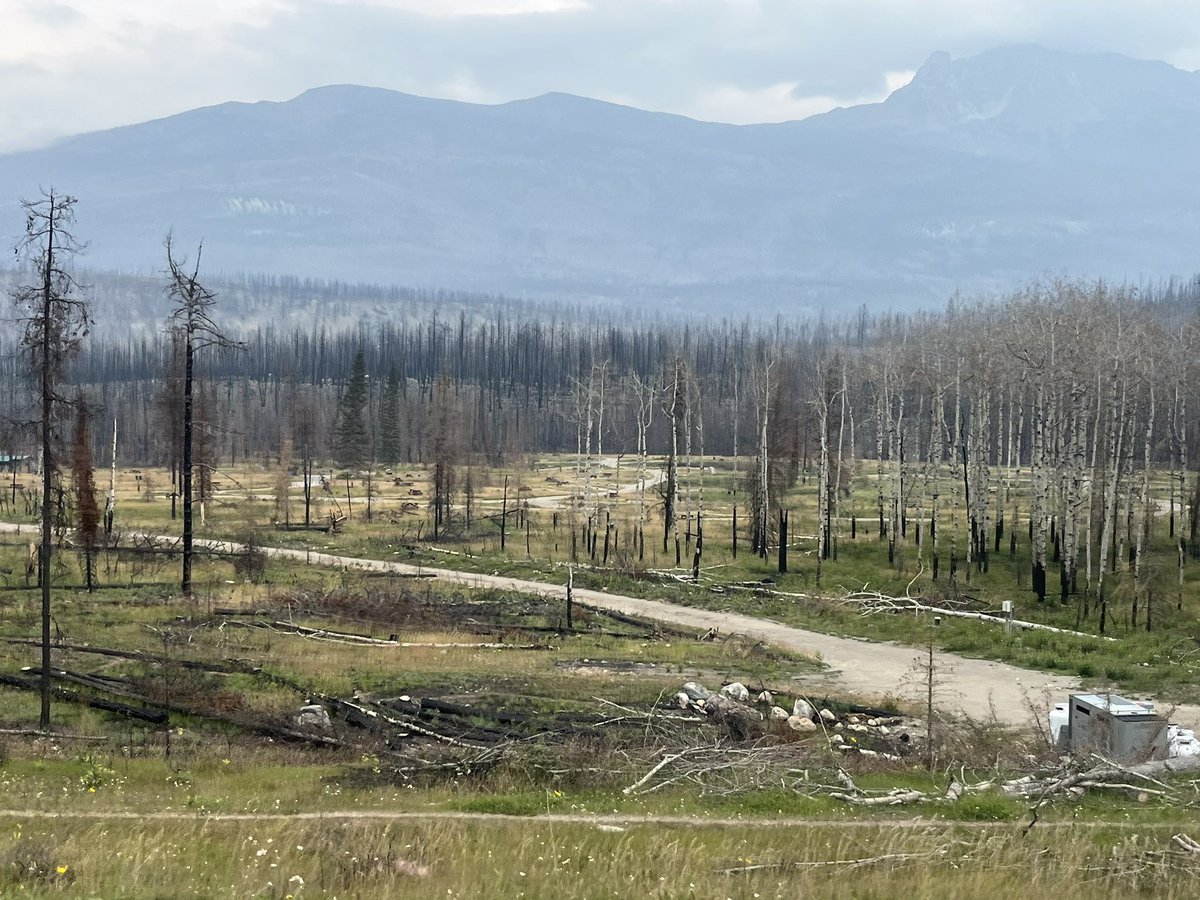 AzorcanGlobal's tweet image. My first time in Jasper since the fire.
Going south from the town it’s unbelievable to see remnants of the wildfire.