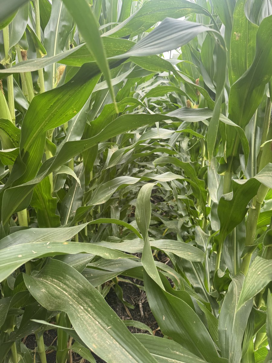 River Valley Coop Interns tweet media