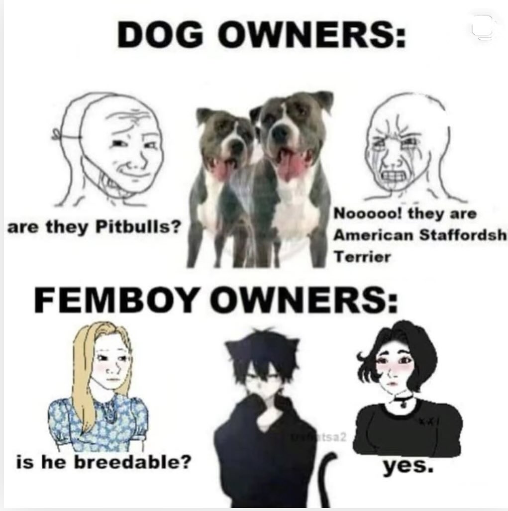 KitSSamy's tweet image. 