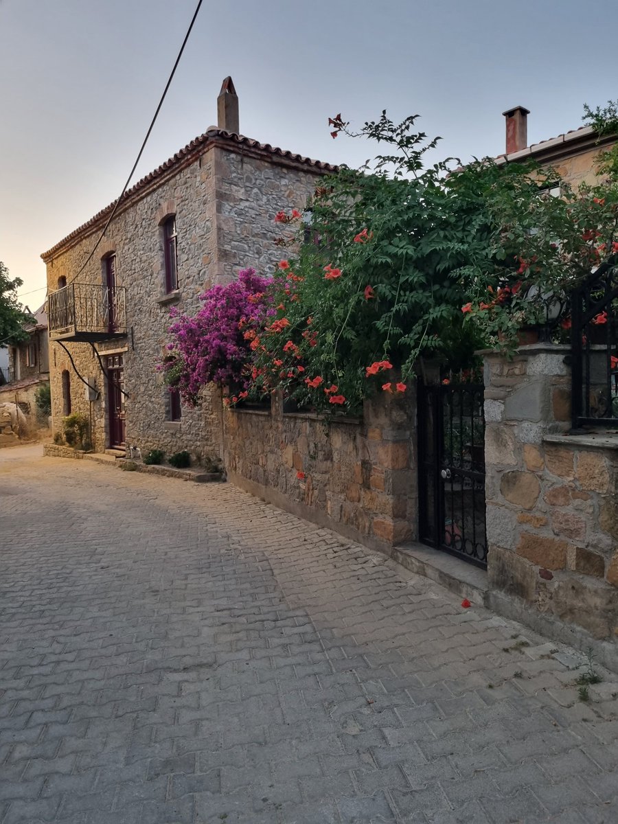 Ey yağmur sonraları, loş bahçeler, akşam sefaları
Söylesin benimle biraz bir kere gelmiş bulundum.
Edip Cansever