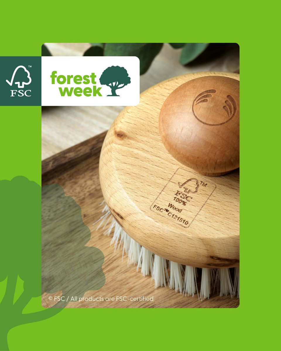 TheVitalCrest's tweet image. Choosing FSC-certified means knowing that forest materials can only come from FSC-certified forests or reclaimed or controlled sources. This means no illegal harvesting, human rights violations, or destruction of critical ecosystems.
Choose FSC-certified.
#FSCForestWeek @FSC_IC