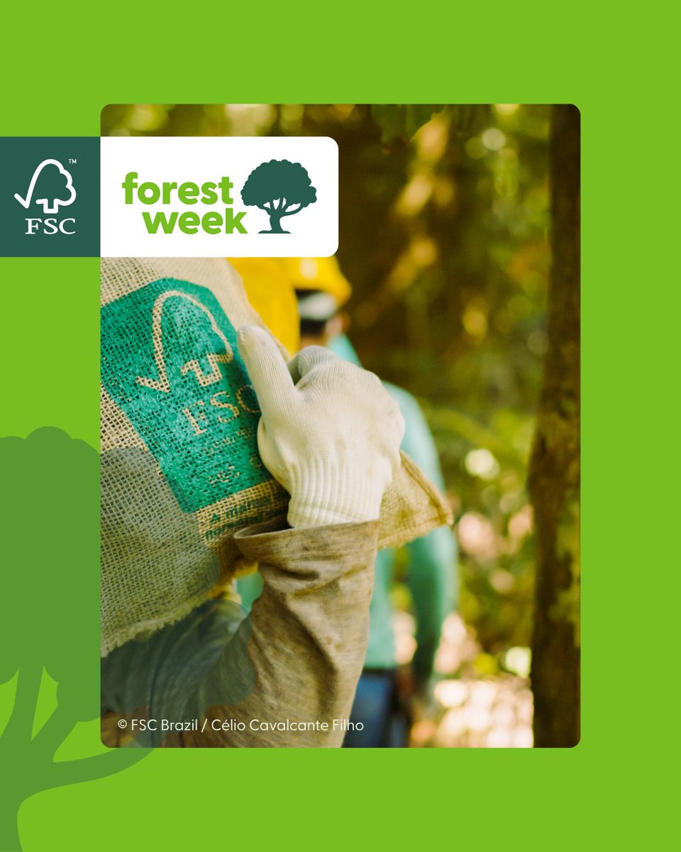 TheVitalCrest's tweet image. Choosing FSC-certified means knowing that forest materials can only come from FSC-certified forests or reclaimed or controlled sources. This means no illegal harvesting, human rights violations, or destruction of critical ecosystems.
Choose FSC-certified.
#FSCForestWeek @FSC_IC