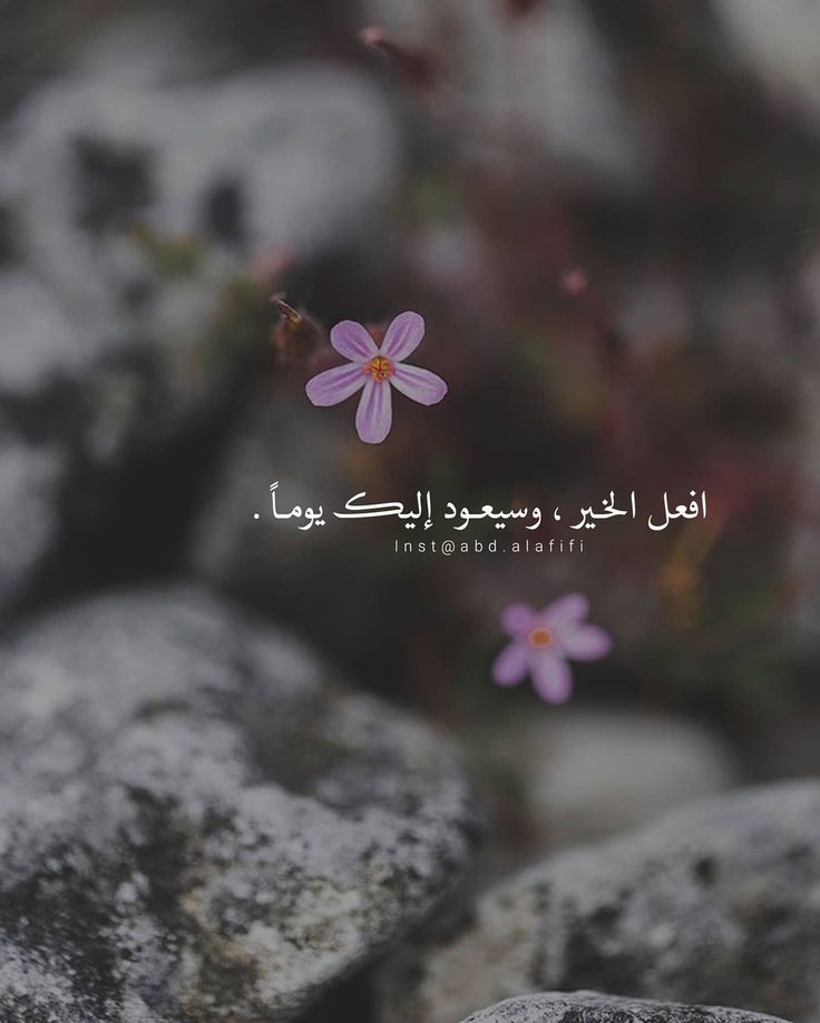 افعل الخير ، وسيعود إليك يوماً

ء.... ء