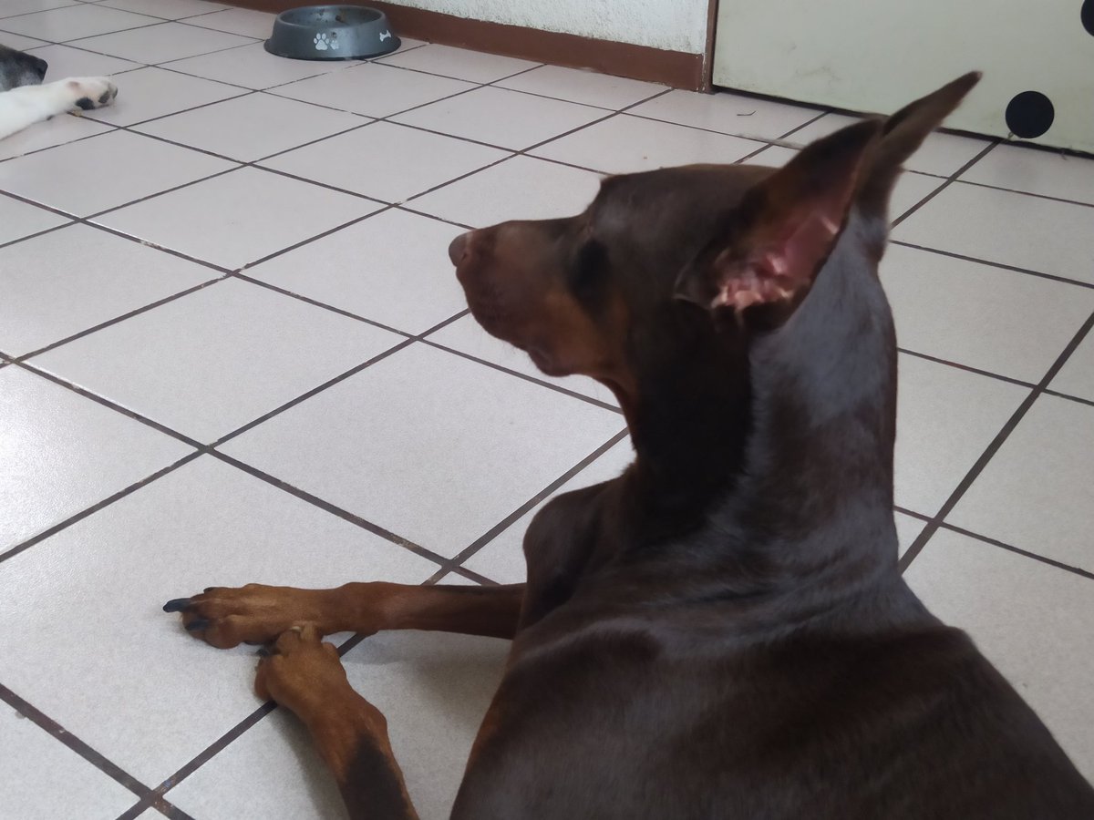 Yazmin Perez tweet media