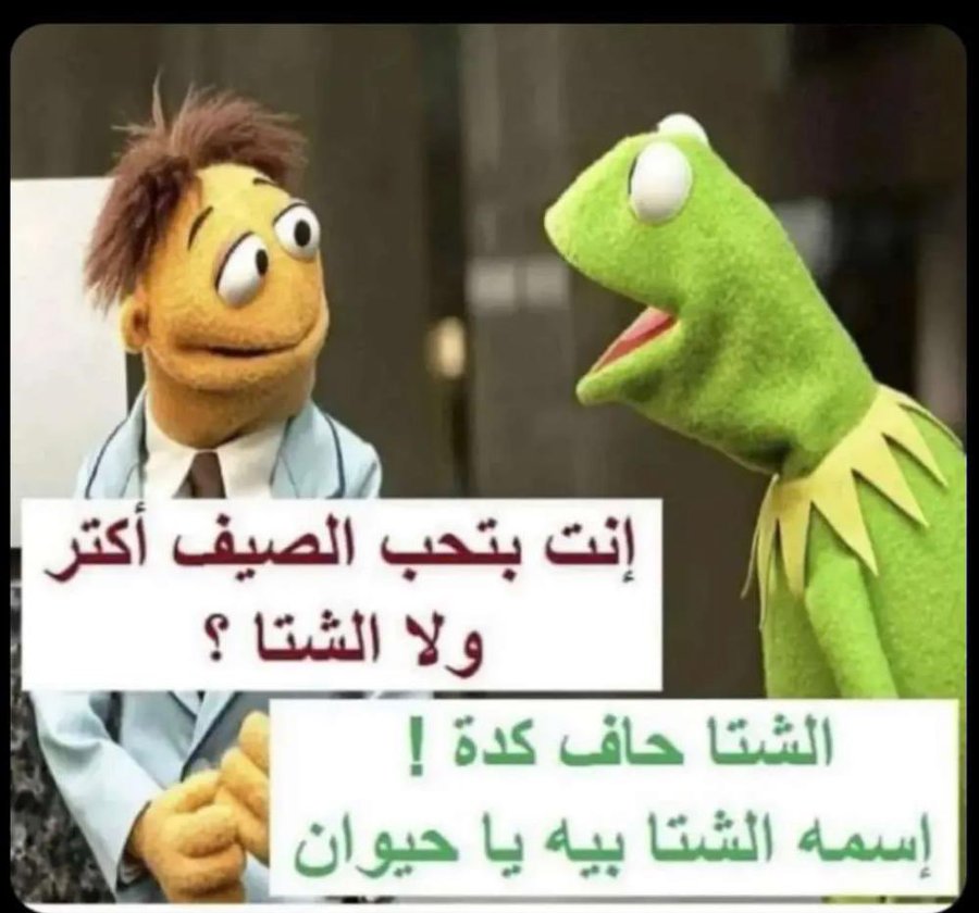أبو سعد / الرياض tweet media