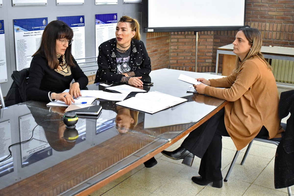 La Comisión de Género y Erradicación de la Trata de Personas, debatirá proyectos sobre capacitación en violencia de género y control de políticas provinciales
hcdmza.gob.ar/site/noticias/…