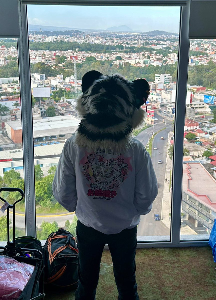 FurryTrashMx's tweet image. Se acabó el evento donde #supuestamente no estamos...
Stream platicando de #Furcan 2025?!
👀👀👀