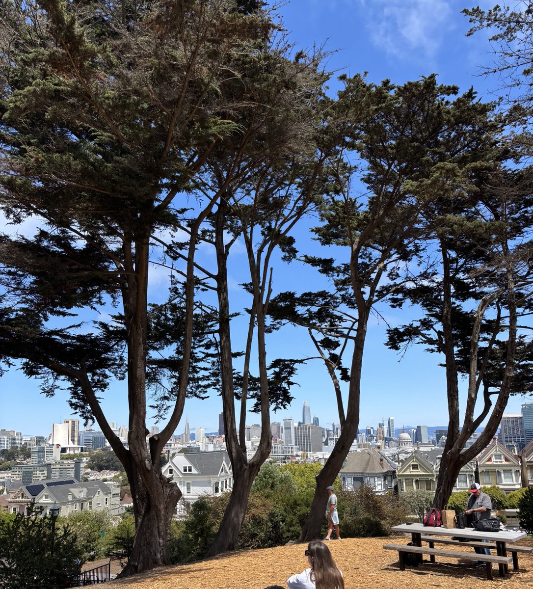Spent a week in SF

The one thing the city has is obsession

And it really lit a fire under me 

I’m also going to start documenting my life more 

If you read my tweets you’ll learn nothing special about me 

I’ll change that