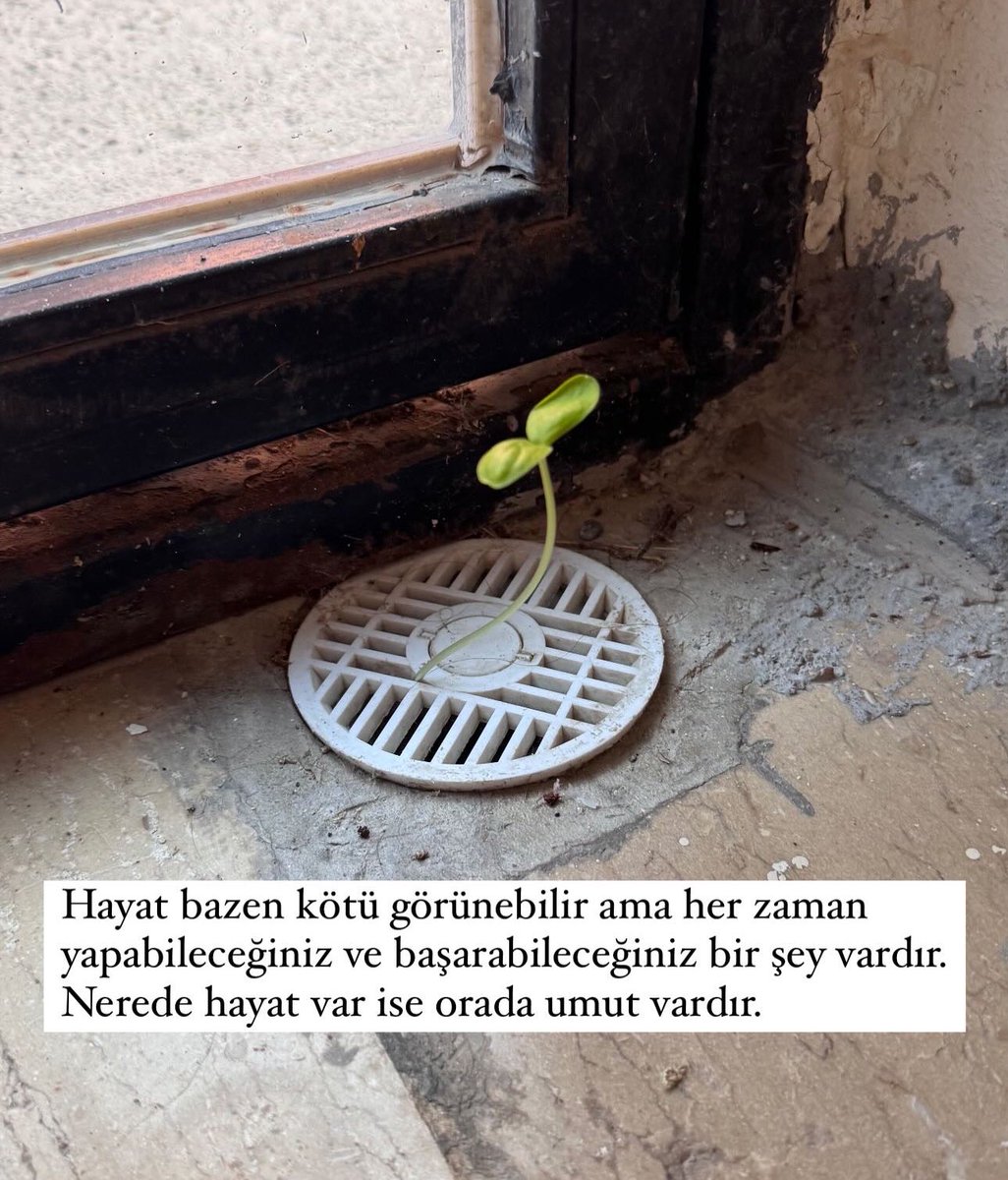 Umudunu kaybetme …