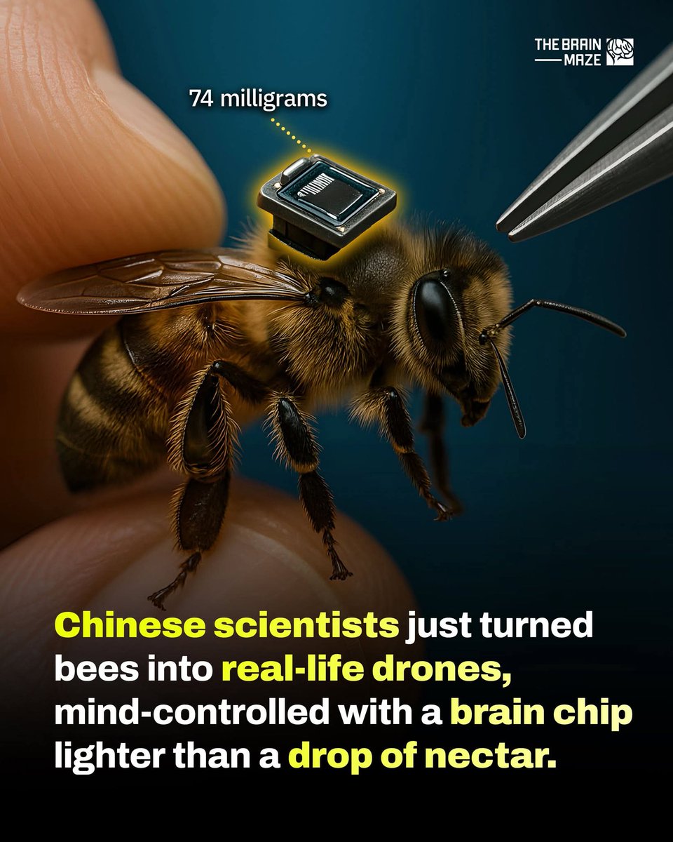 MathewLight17's tweet image. At what point do we become seriously concerned about what's going on in China?