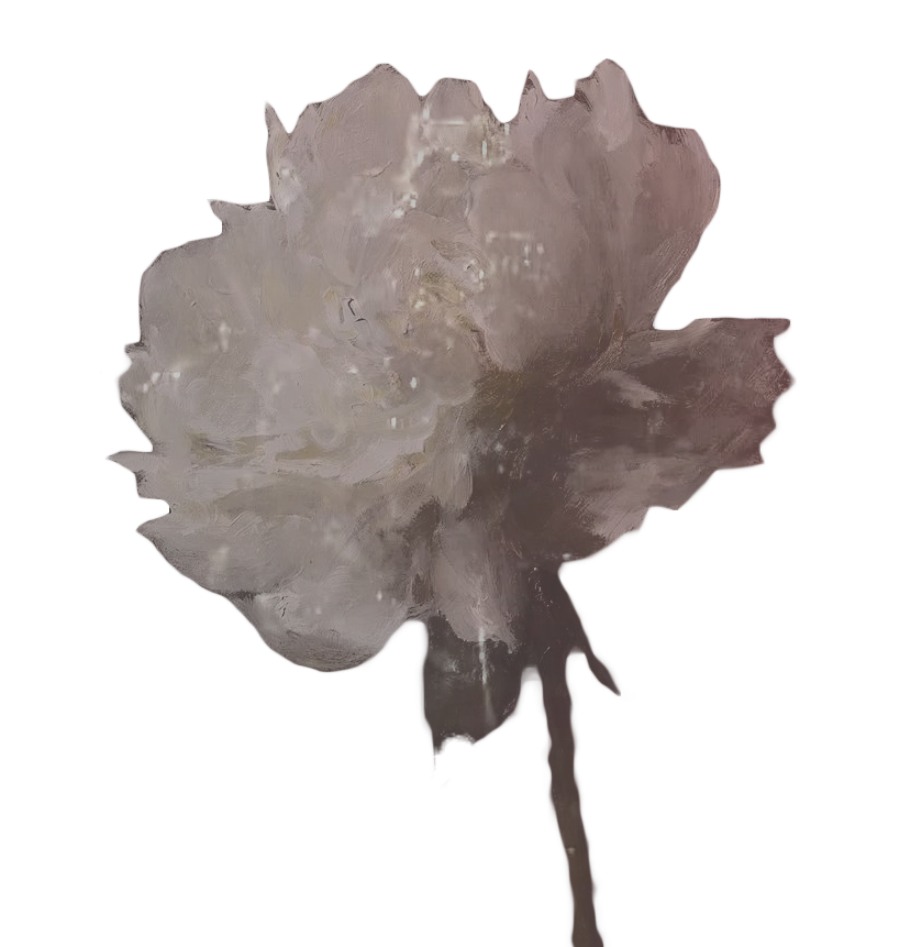 ‍ ‍ ‍ ‍ ༊·˚ ‍ 𝒮͟wan ‍*‍ ‍𝒮͟ong． tweet media