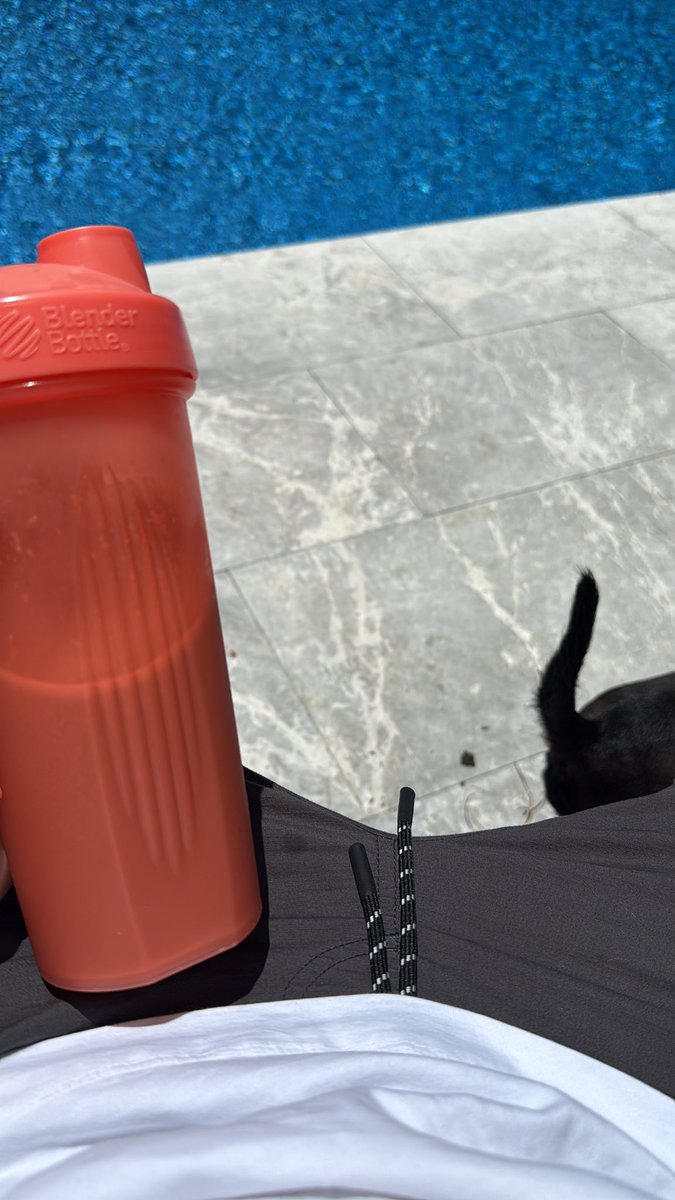 joelnolancaro's tweet image. Taking a break from script reviews and drinking a beer… I mean protein shake.