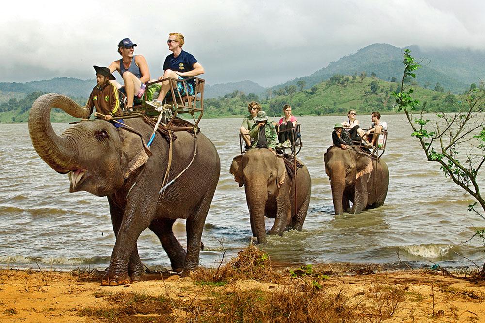 stae_elephants's tweet image. STAE’s CEO Duncan McNair on GB News TV – why Government must uphold their pre-Election promises and implement the law to protect animals brutalised in tourism:
youtube.com/live/gbGRj0MDj…