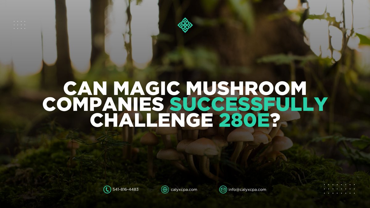 JustinBotillier's tweet photo. Can magic mushroom companies challenge 280E? 🍄
Our founder Justin Botillier thinks so, drawing from tax strategies that helped cannabis firms save &amp; reclaim.
Now he explores if psilocybin operators can benefit too.

#280E #Psilocybin #MagicMushrooms #CalyxCPA https://t.co/CXJOHsbx4g