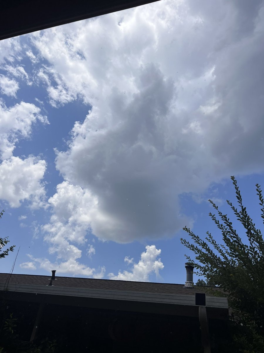 ⚡ HQMVP ☯︎ ALICE// ²³ tweet media