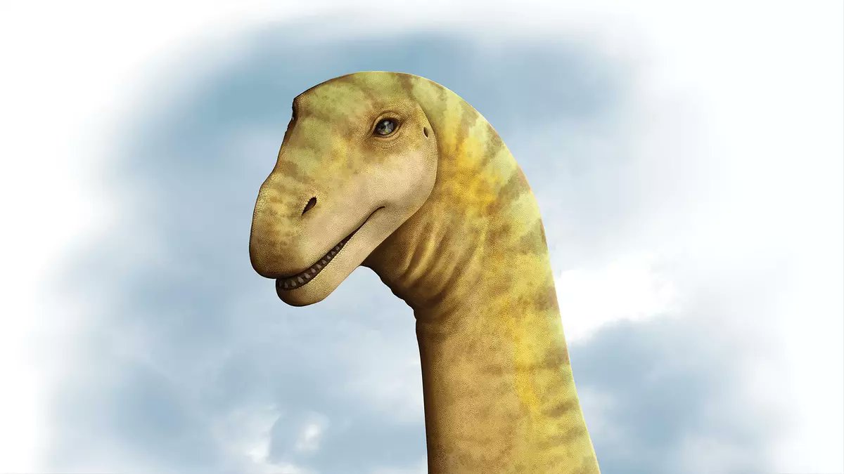 FDinosaurios's tweet image. Los dinosaurios atravesaron continentes por una Antártida libre de hielo (vía @levante_emv)
Hace 100 millones de años, los dinosaurios usaron una Antártida cálida y boscosa como puente terrestre para viajar entre Oceanía y América del Sur.
n9.cl/dgp7vq