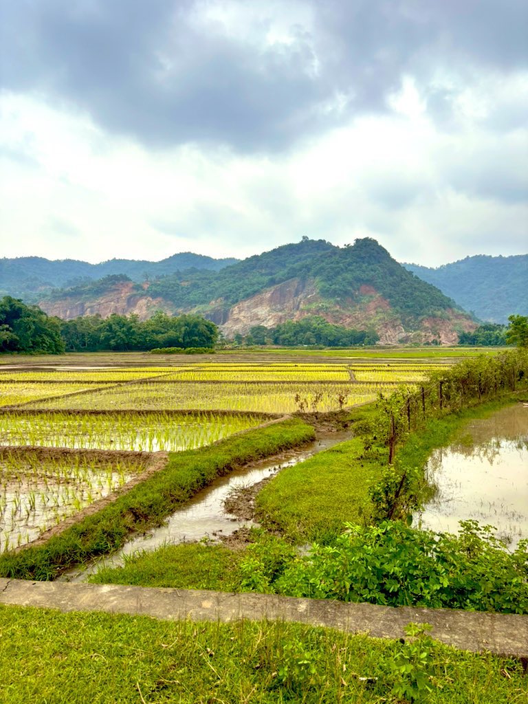 abhishekporaxar's tweet image. Who is eating up our mountains? 😢
Assam-Meghalaya borderlands.
