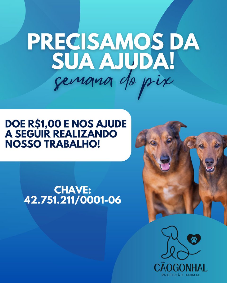 caogonhal's tweet image. Estamos iniciando mais uma campanha da #SemanadoPix. A ideia é mostrar que um pouquinho de cada um faz toda a diferença. Precisamos, além de pagar a dívida da compra de ração que segue acumulando, castrar a Lua, Sofia e Clara.
PIX: 42.751.211/0001-06 (CNPJ)
PICPAY: @caogonhal