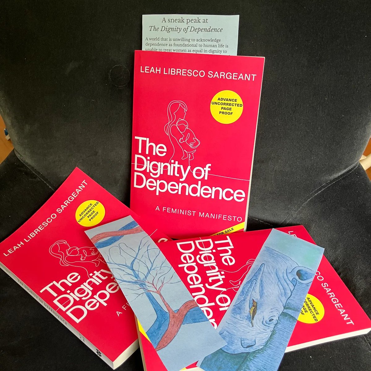 LeahLibresco's tweet image. It's my birthday, and I'm celebrating in Hobbity fashion!
I commissioned two bookmarks from @EfficacyOfGrace for readers who pre-order The Dignity of Dependence. We worked together brainstorming art that spoke to interdependence at every scale.
otherfeminisms.com/p/preorder-rew…