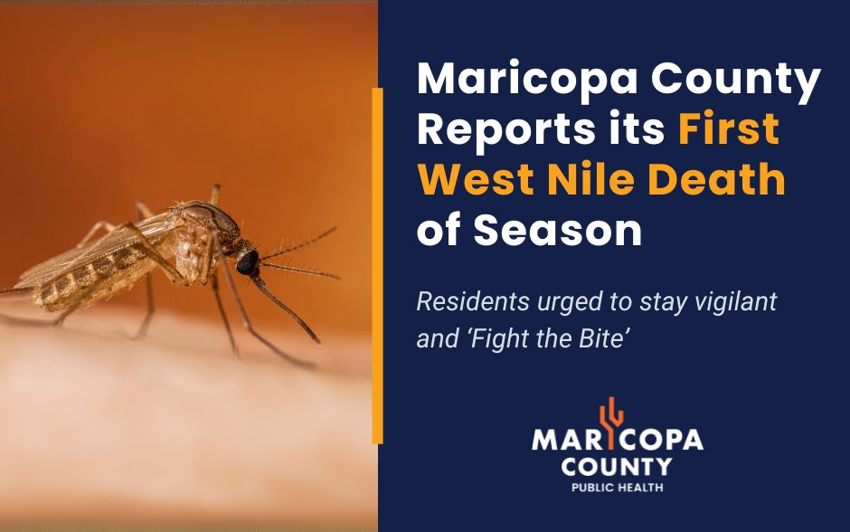 Maricopahealth's tweet image. ⚠️ Maricopa County has confirmed the first West Nile virus-related death of the season.
This tragic loss is a reminder that mosquitoes can carry serious illness, especially for older adults and those with underlying health conditions.
More details: maricopa.gov/CivicAlerts.as…