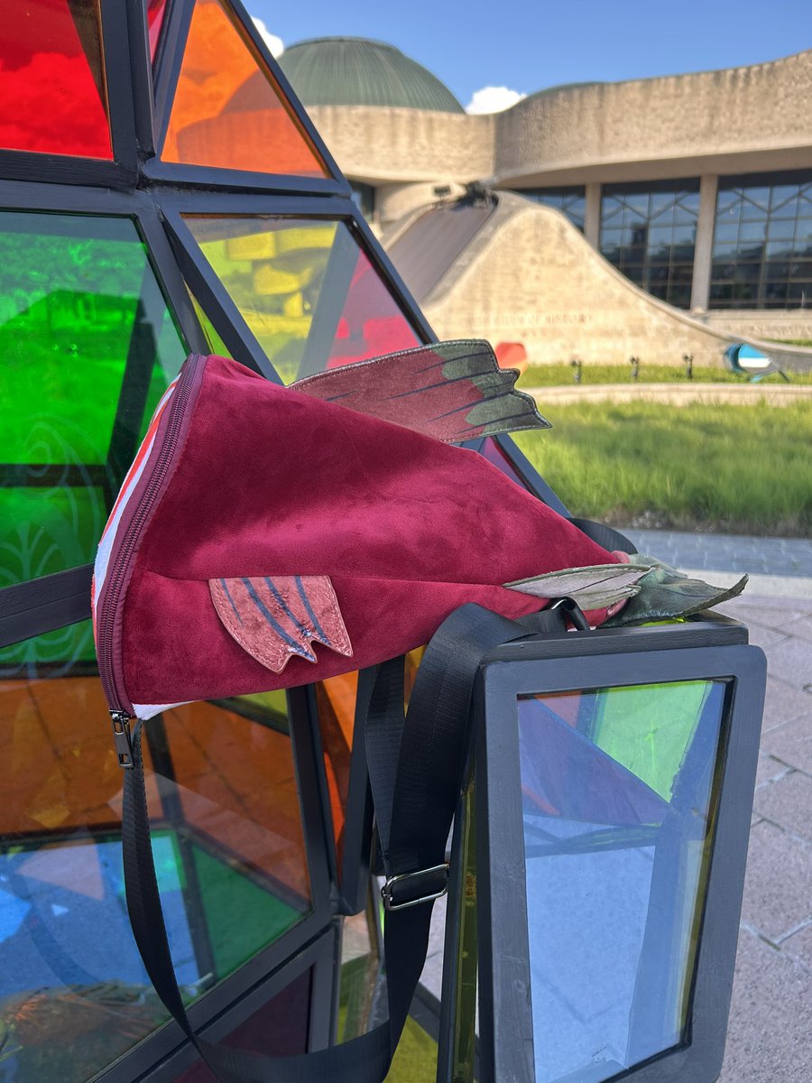 Wanting a new funky fursuit accessory ?👀

Half salmon bags are finally up for grabs. Made thinking of all you otters, bears and feline furrys who wanna carry your stuff around a con 

🔗👇

#furryfandom #fursuitaccessory