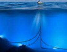 Amnesty Toronto tweet media