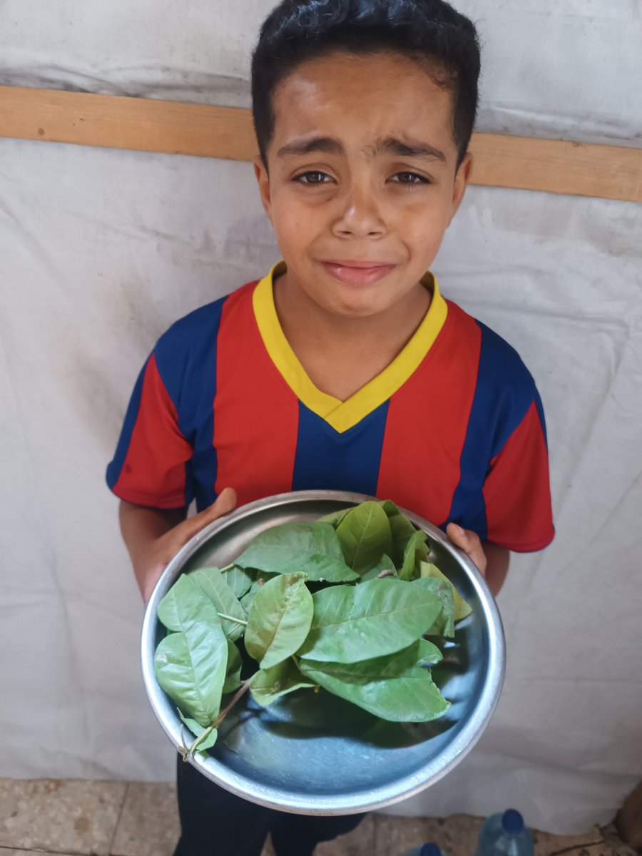 eslamomkhader's tweet image. This is the reality of Gaza’s children.
This is their "food"... these tree leaves will become the food of Gaza's people.
Your support is not for luxury, it’s for survival.
Please, do anything to make our voices reach the whole world.
chuffed.org/project/eslamo…