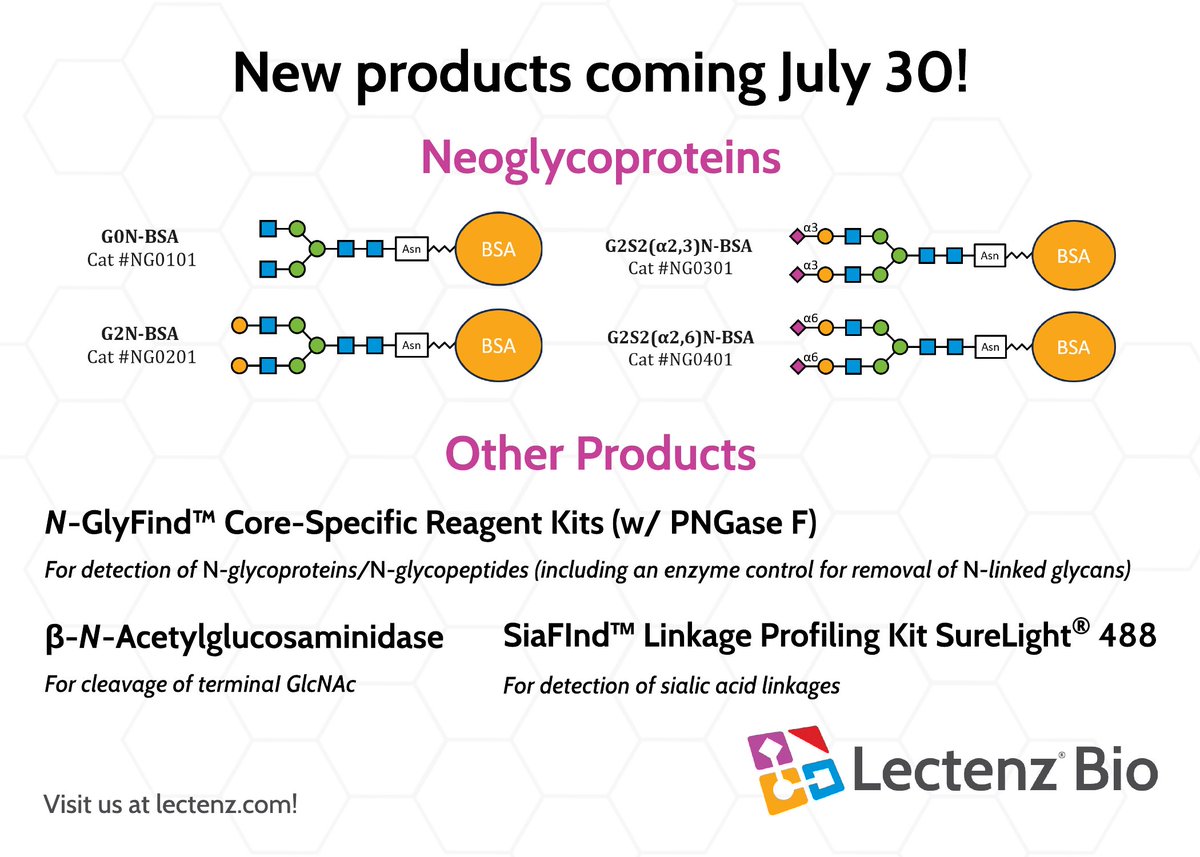 lectenz_bio's tweet image. 