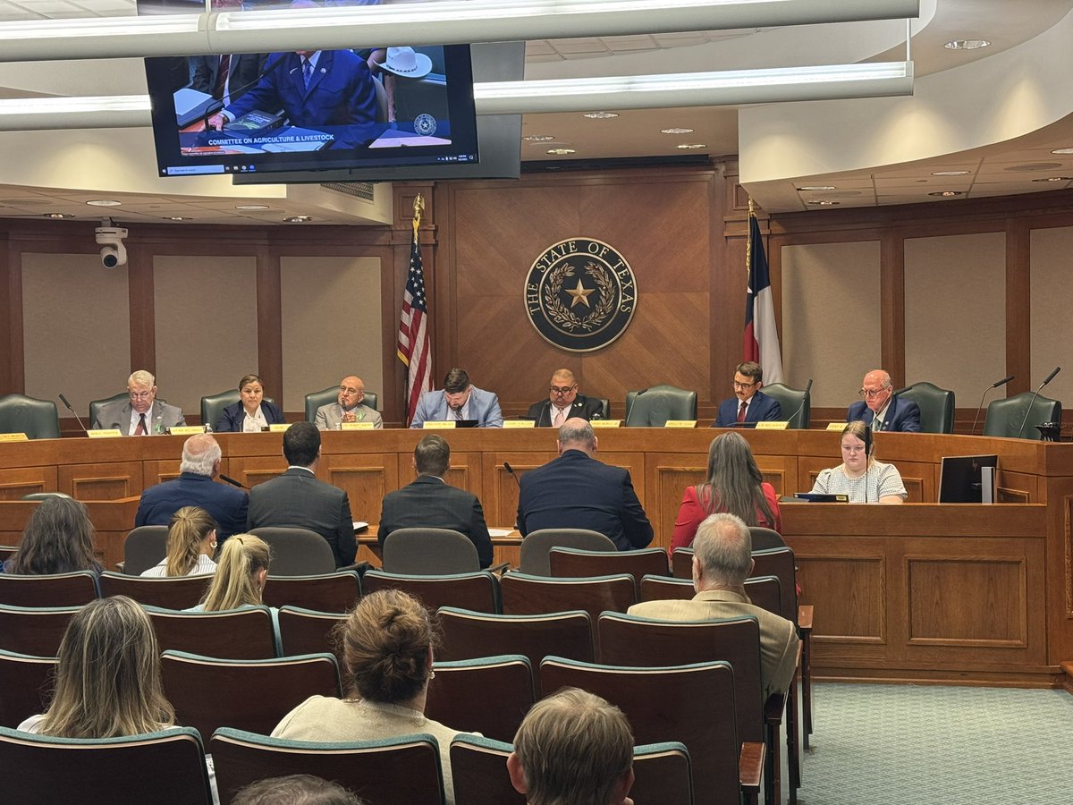 BriscoeCain's tweet image. Back in Austin today for the first day of the special session.
The House Committee on Agriculture & Livestock is holding a hearing on the New World Screwworm.