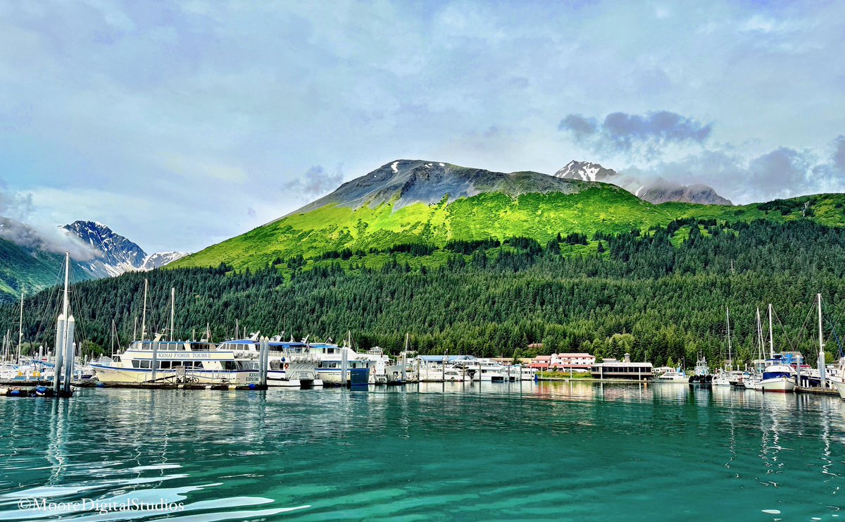 Today’s photo theme is: Water. 💦 📸