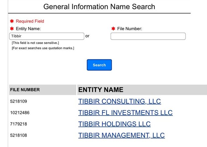 Screenshot of General Information Name Search showing Tibbir entities