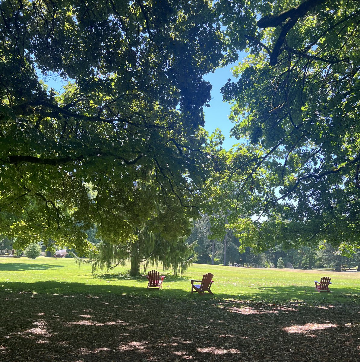 DaliaHatuqa's tweet image. Spent a week in Portland, OR, writing and meeting an incredible group of people. Thankful to @Tin_House for this incredible opportunity. Heart warming to see Palestine was present everywhere.