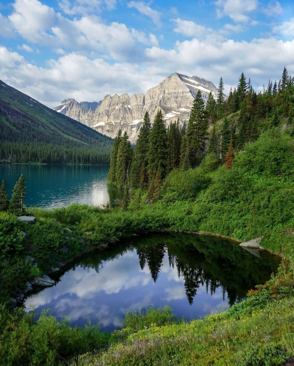 Naji_alt's tweet photo. A stunning view where mountains kiss the sky and nature’s reflection rests in still, crystal waters — pure wilderness perfection. 🏔️🌲💧
#MountainMagic #NatureReflection #WildScenery #PeacefulView #LakesideBeauty #NatureLoversParadise https://t.co/gmytX1Dhyg